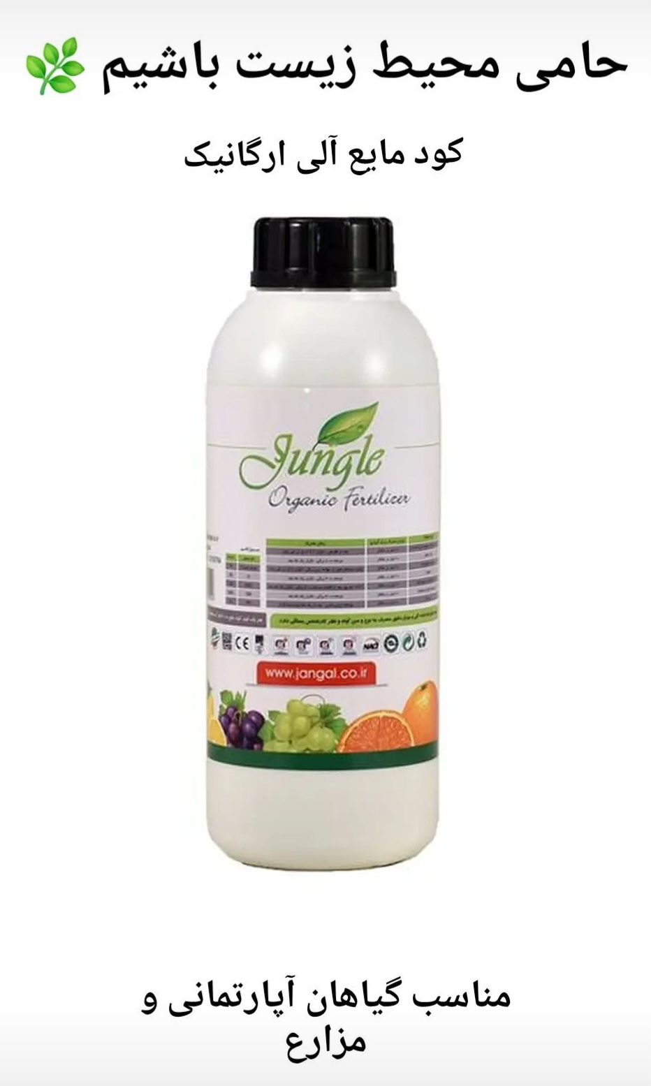 Screenshot_20240424_140816_Instagram